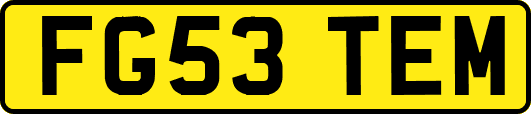 FG53TEM