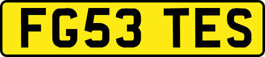 FG53TES