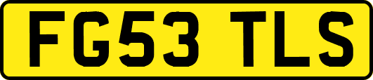 FG53TLS