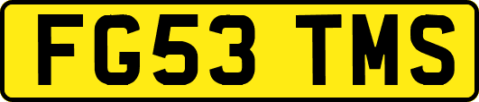 FG53TMS