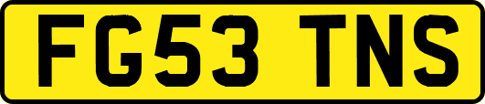 FG53TNS