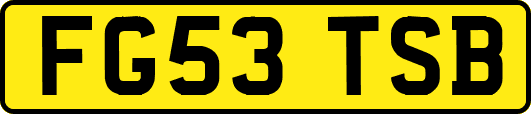 FG53TSB