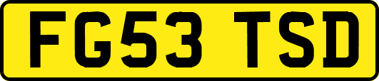 FG53TSD