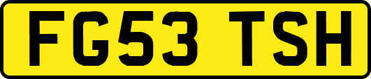 FG53TSH