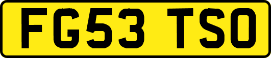 FG53TSO