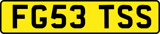 FG53TSS