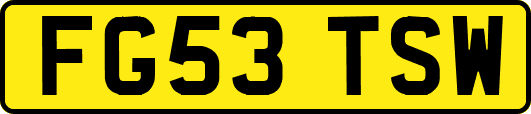 FG53TSW