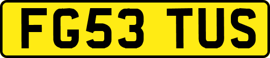 FG53TUS