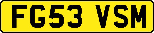 FG53VSM