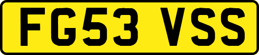 FG53VSS