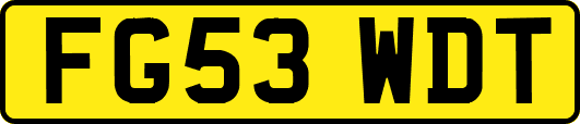 FG53WDT