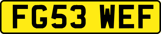 FG53WEF