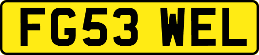 FG53WEL