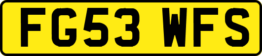 FG53WFS