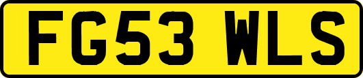 FG53WLS