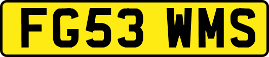 FG53WMS