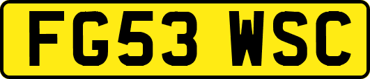 FG53WSC