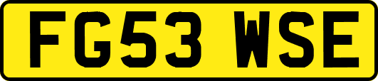 FG53WSE