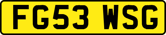 FG53WSG