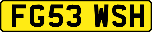 FG53WSH