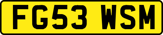 FG53WSM