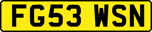 FG53WSN