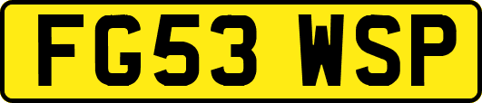 FG53WSP