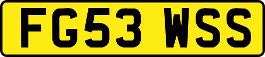 FG53WSS