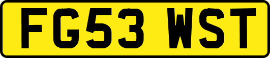FG53WST