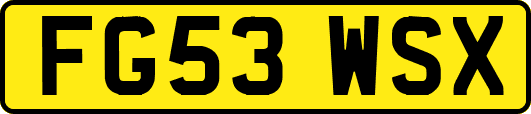 FG53WSX