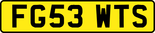 FG53WTS