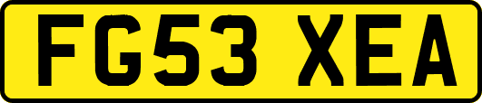 FG53XEA
