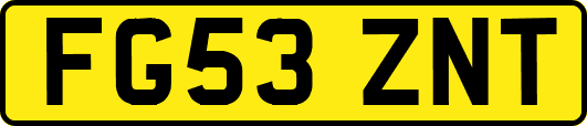 FG53ZNT