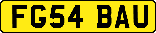 FG54BAU