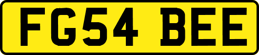 FG54BEE