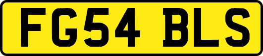 FG54BLS