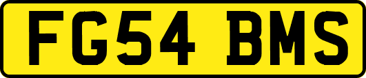 FG54BMS