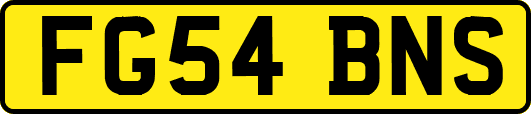 FG54BNS