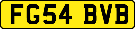 FG54BVB