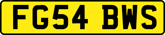 FG54BWS