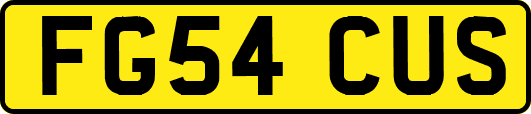 FG54CUS
