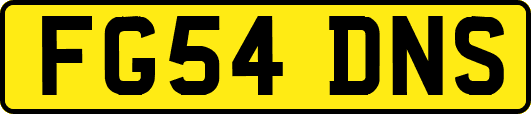 FG54DNS
