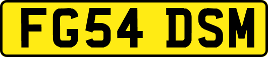 FG54DSM