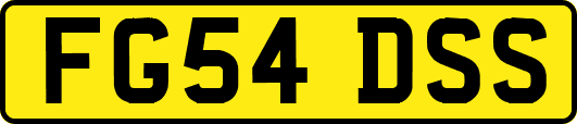 FG54DSS