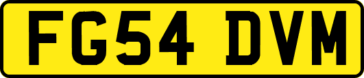 FG54DVM