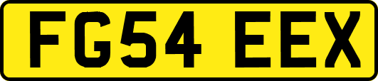 FG54EEX