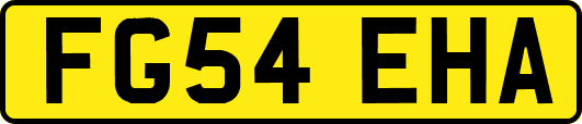 FG54EHA