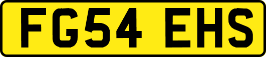 FG54EHS