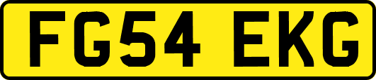 FG54EKG