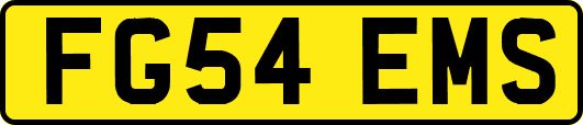FG54EMS